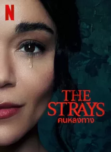 ดูหนังออนไลน์ฟรี คนหลงทาง The Strays (2023)