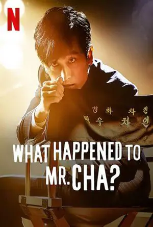 ดูหนังออนไลน์ฟรี ชาอินพโย สุภาพบุรุษสุดขั้ว What Happened to Mr Cha (2021)