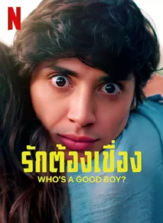 ดูหนังออนไลน์ฟรี รักต้องเชื่อง? (2022) Who’s a Good Boy?