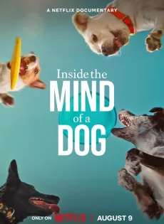 ดูหนังออนไลน์ฟรี อ่านใจสุนัข (2024) Inside the Mind of a Dog