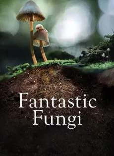 ดูหนังออนไลน์ฟรี เห็ดมหัศจรรย์ Fantastic Fungi (2019)