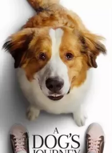 ดูหนังออนไลน์ฟรี หมา เป้าหมาย และเด็กชายของผม 2 A Dog’s Journey (2019)