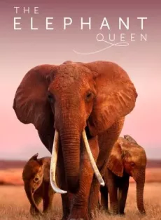 ดูหนังออนไลน์ฟรี อัศจรรย์ราชินีแห่งช้าง The Elephant Queen (2019)