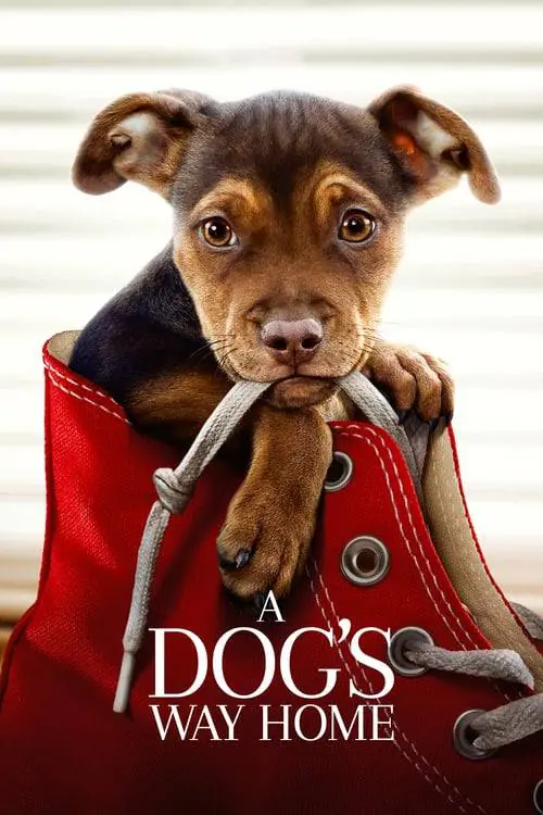 ดูหนังออนไลน์ฟรี เพื่อนรักผจญภัยสี่ร้อยไมล์ A Dog’s Way Home (2019)