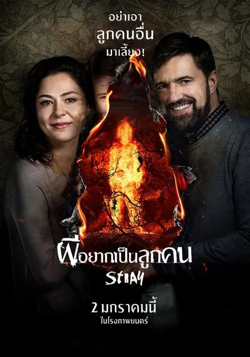 ดูหนังออนไลน์ฟรี ผีอยากเป็นลูกคน Stray (Tva) (2019)