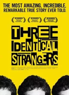 ดูหนังออนไลน์ฟรี Three Identical Strangers (2018)