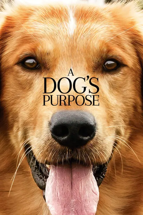 ดูหนังออนไลน์ฟรี หมา เป้าหมาย และเด็กชายของผม A Dog’s Purpose (2017)