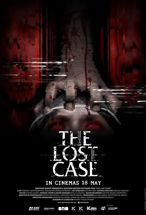 ดูหนังออนไลน์ฟรี มือปราบสัมภเวสี The Lost Case (2017)